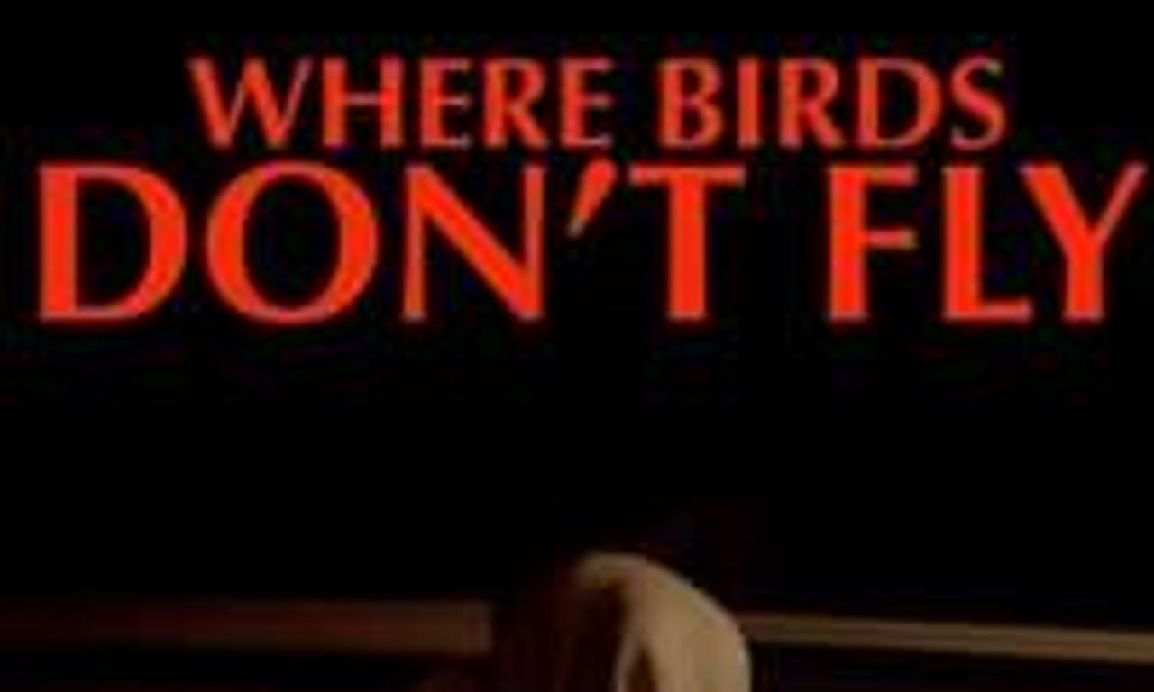header image for Where Birds Don't Fly