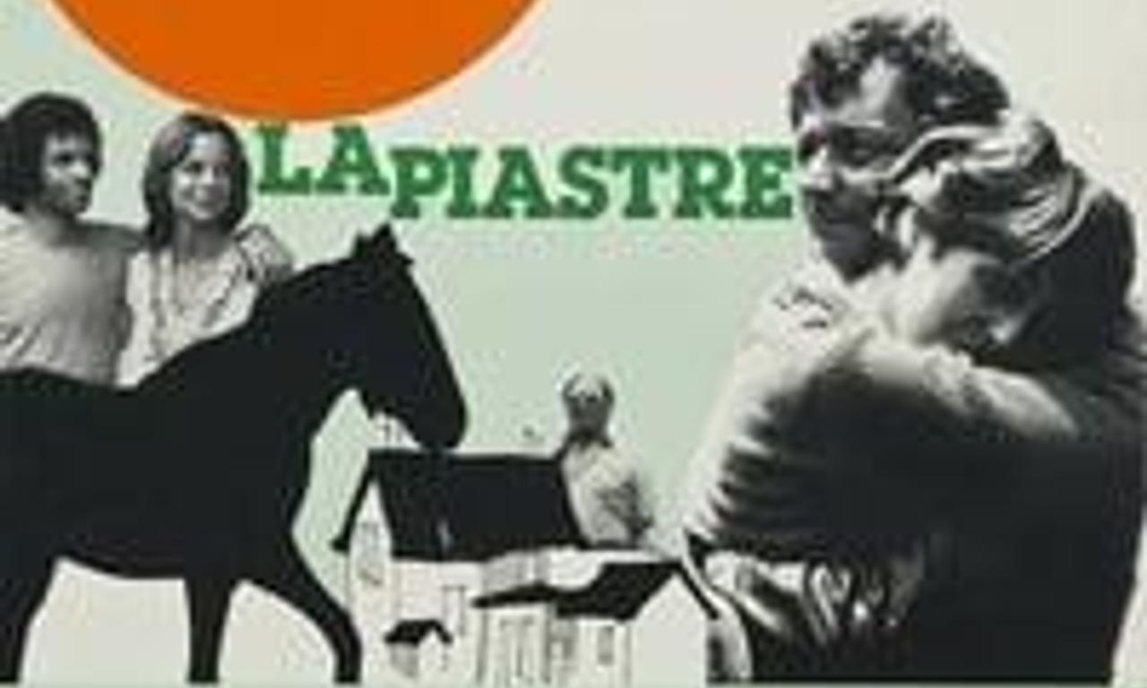 header image for La piastre