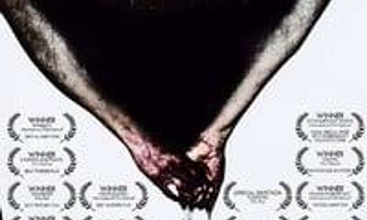 header image for Across the River