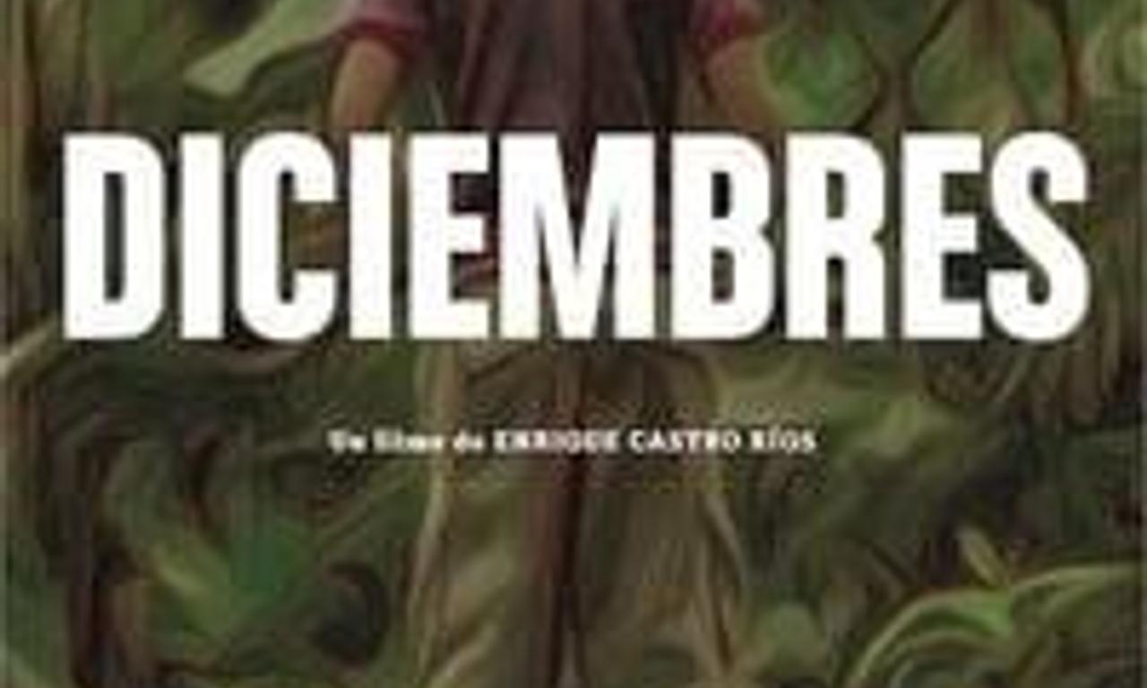 header image for Decembers