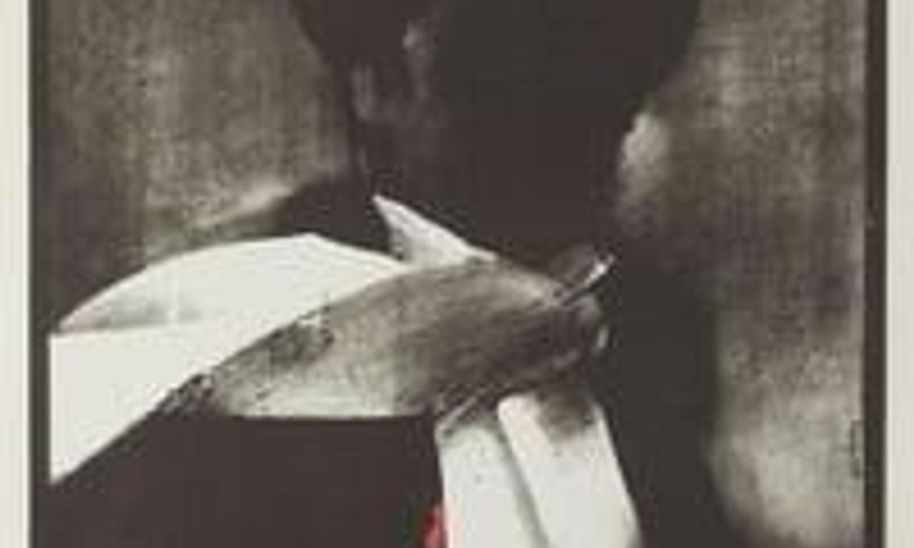 header image for The Promised Land