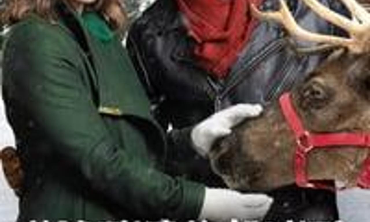 header image for Northern Lights of Christmas