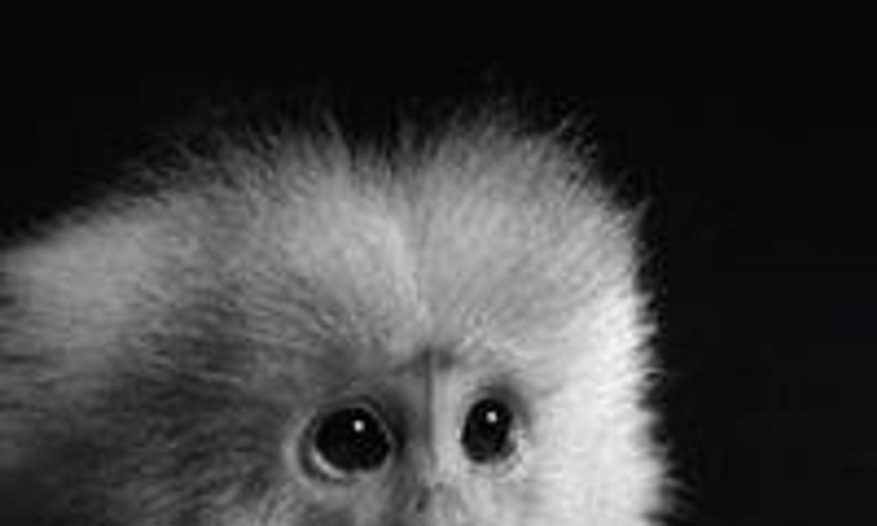 header image for WHAT DID JACK DO?