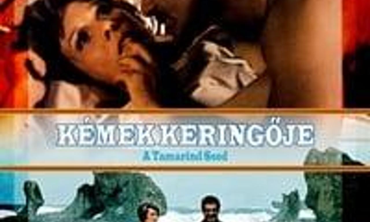 header image for The Tamarind Seed