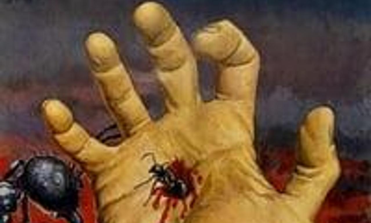 header image for Phase IV