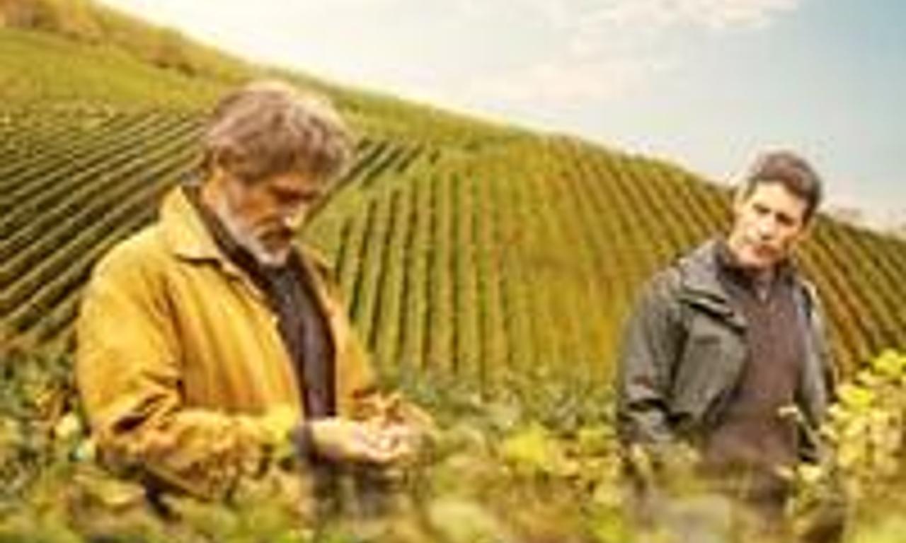 header image for First Growth