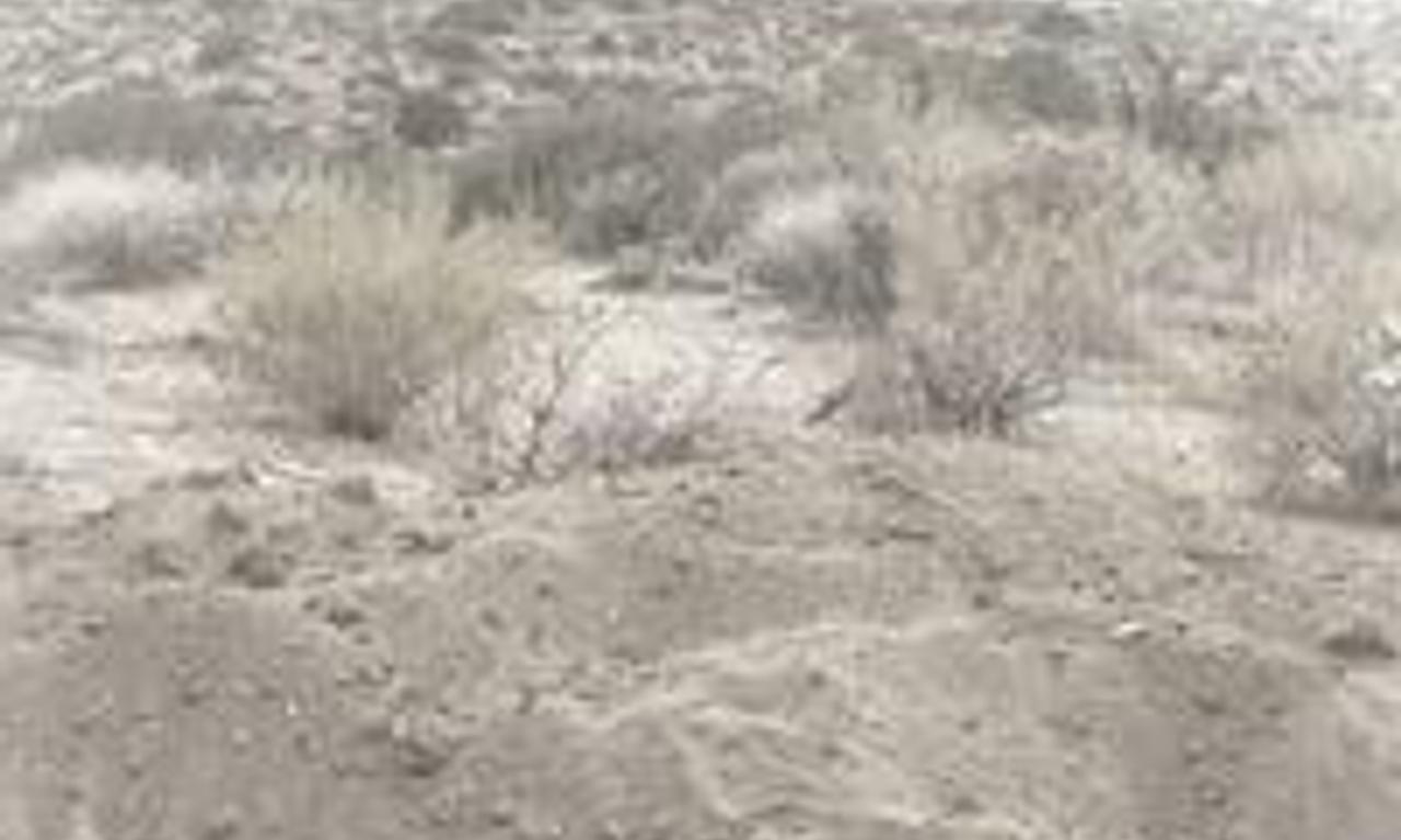 header image for Valley of Ditches