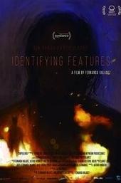 Identifying Features