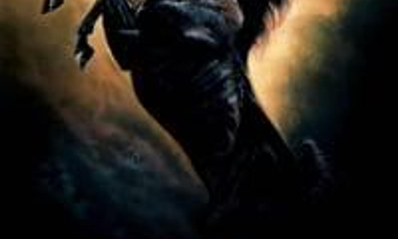 header image for Young Black Stallion