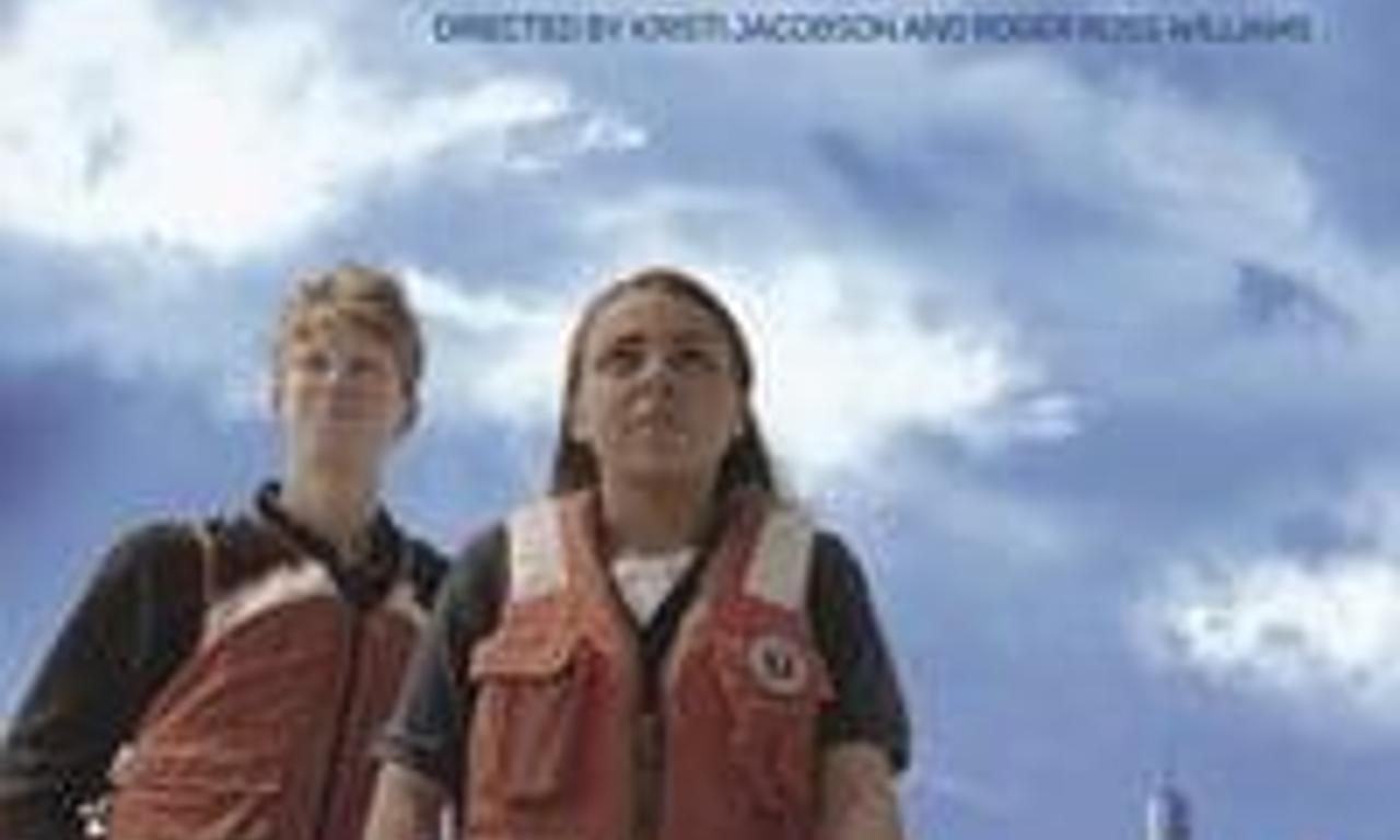 header image for Take Back the Harbor