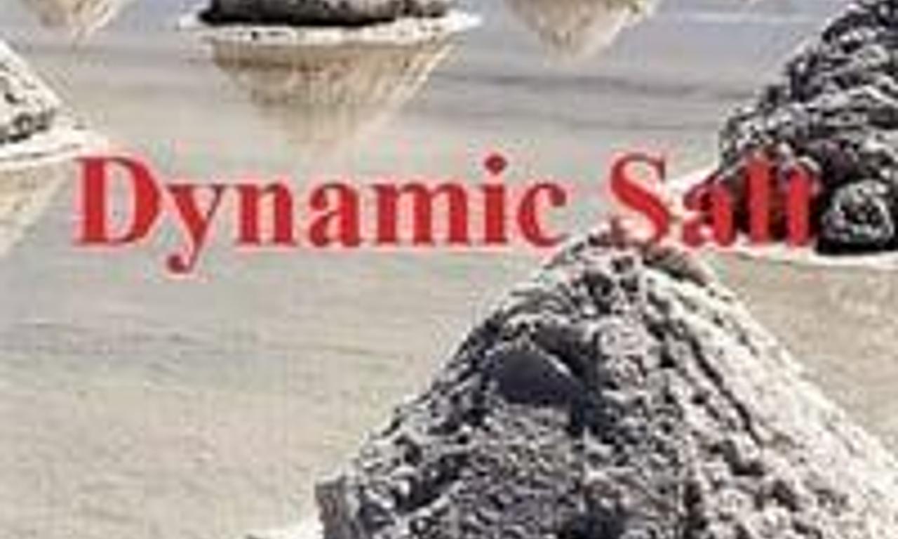 header image for Dynamic Salt