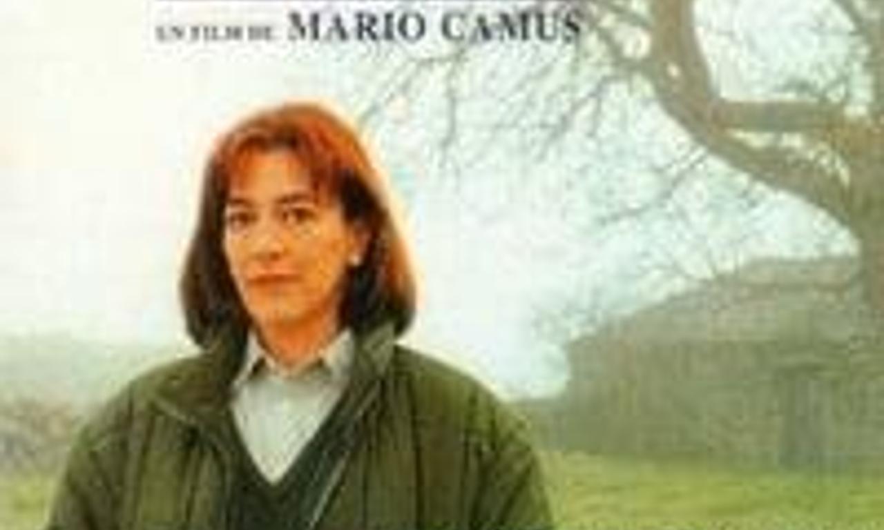 header image for Shadows in a Conflict