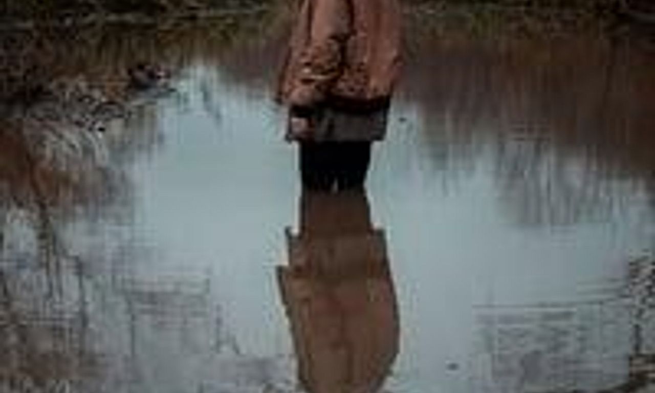 header image for Lost Bayou