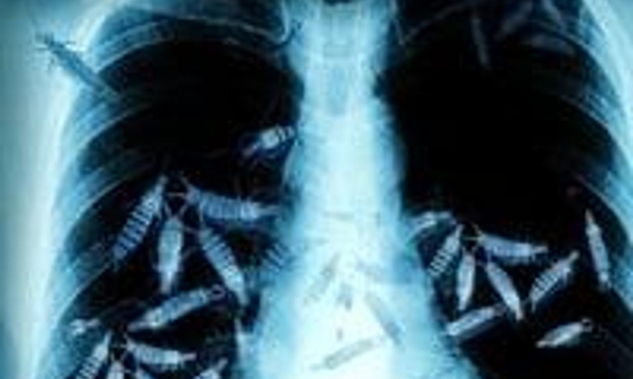 header image for The Thaw