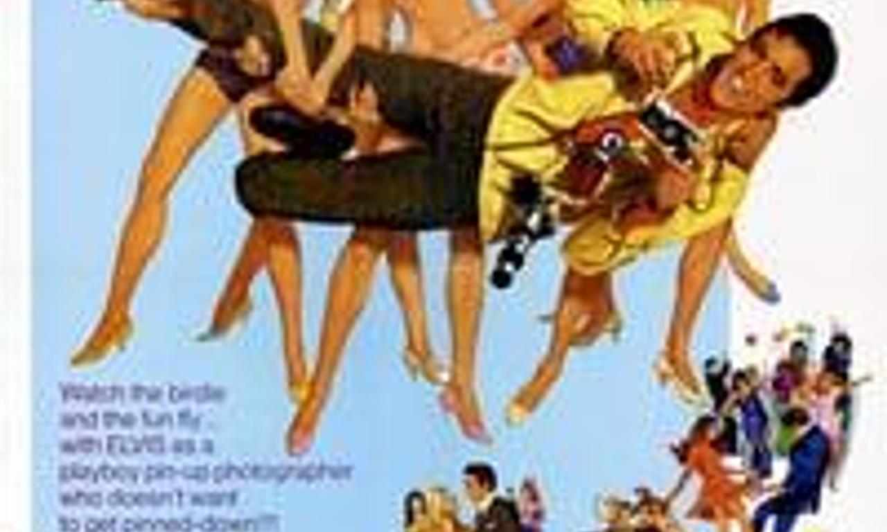 header image for Live a Little, Love a Little