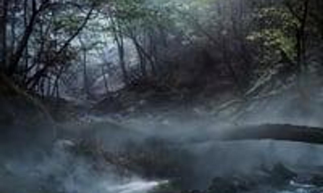 header image for The Invisible Guardian