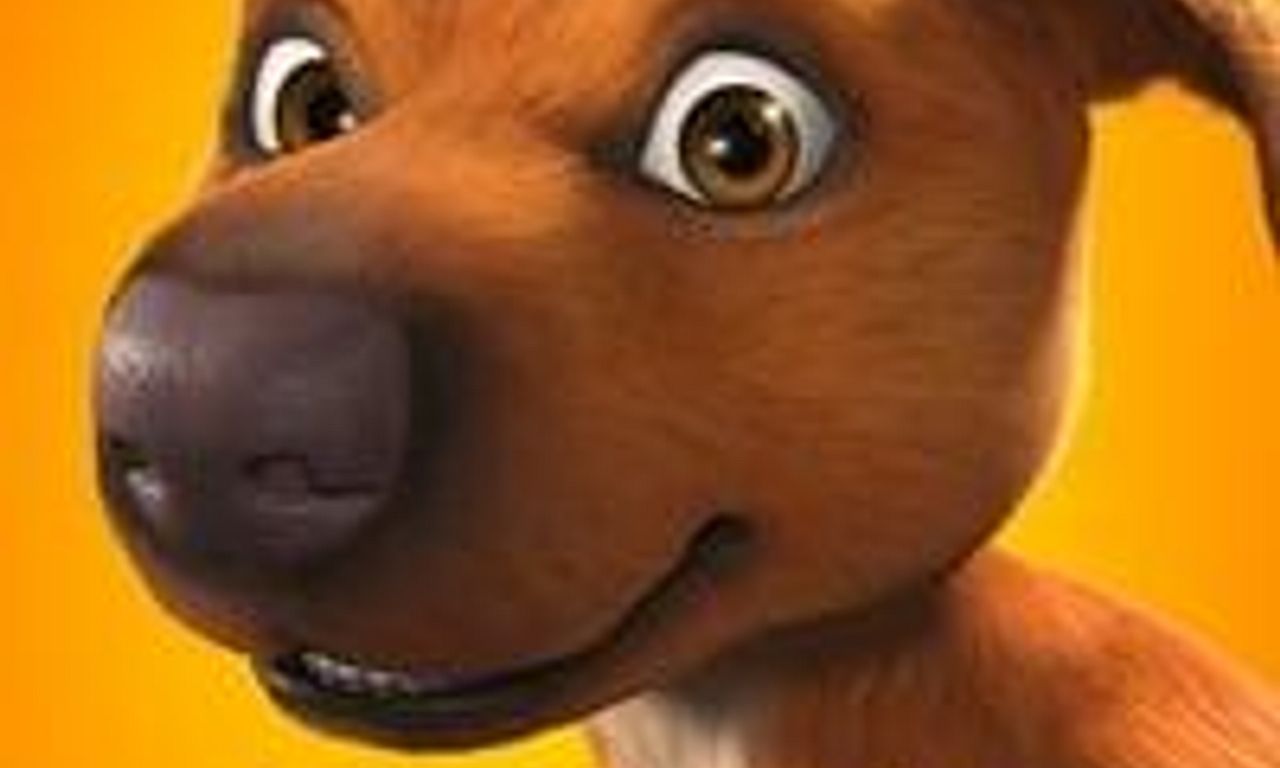 header image for Jock the Hero Dog