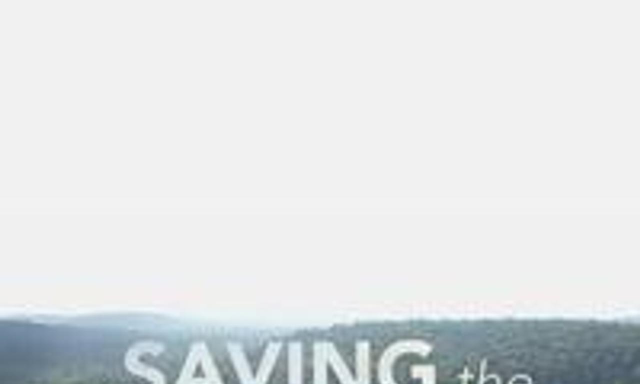 header image for Four Corners: Saving the Amazon