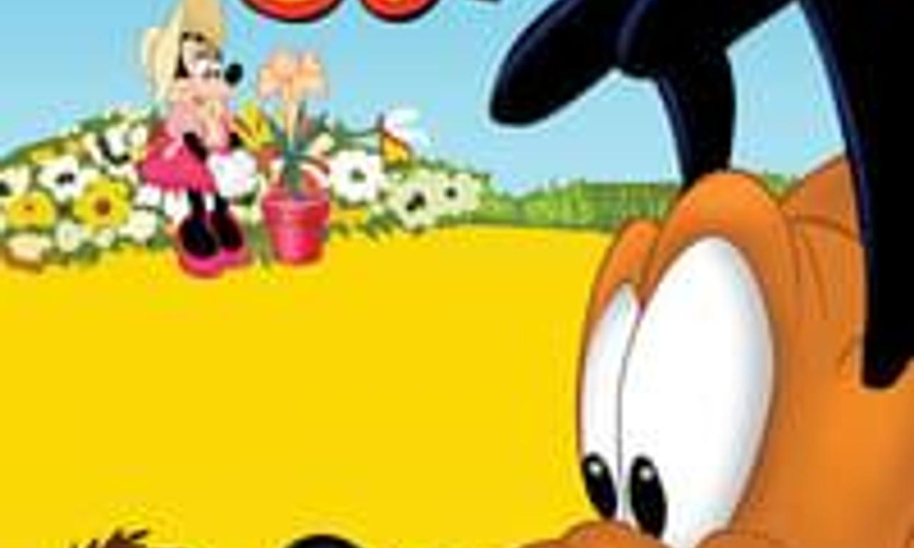 header image for Pluto and the Gopher