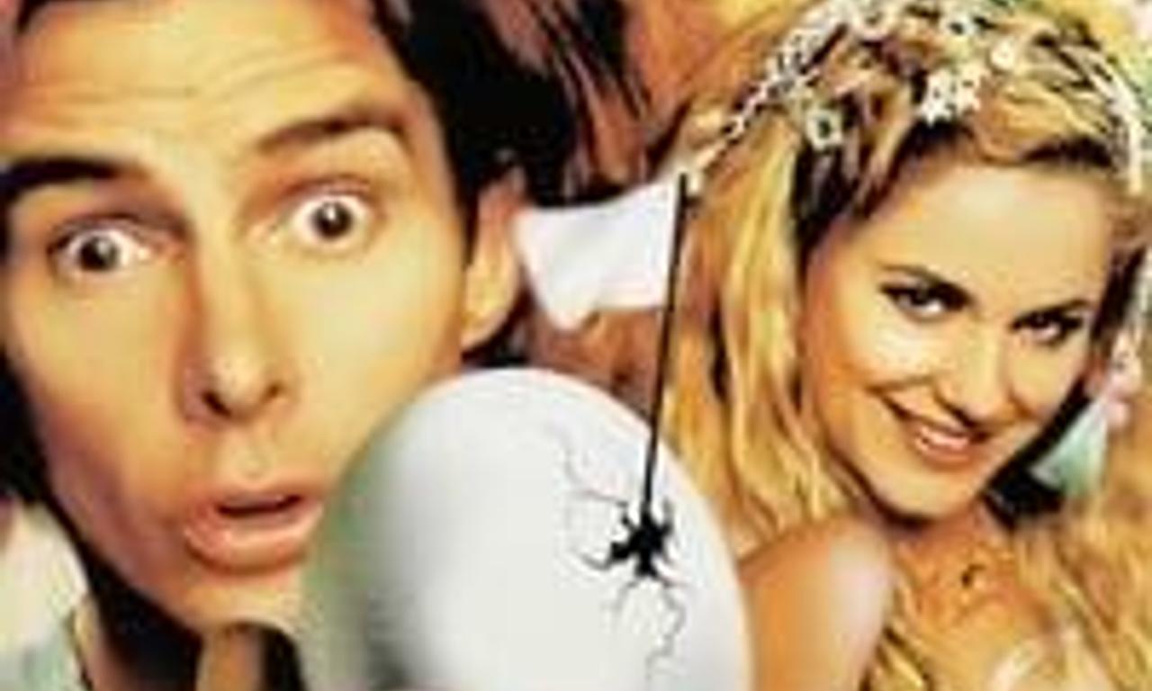 header image for Mr. Accident