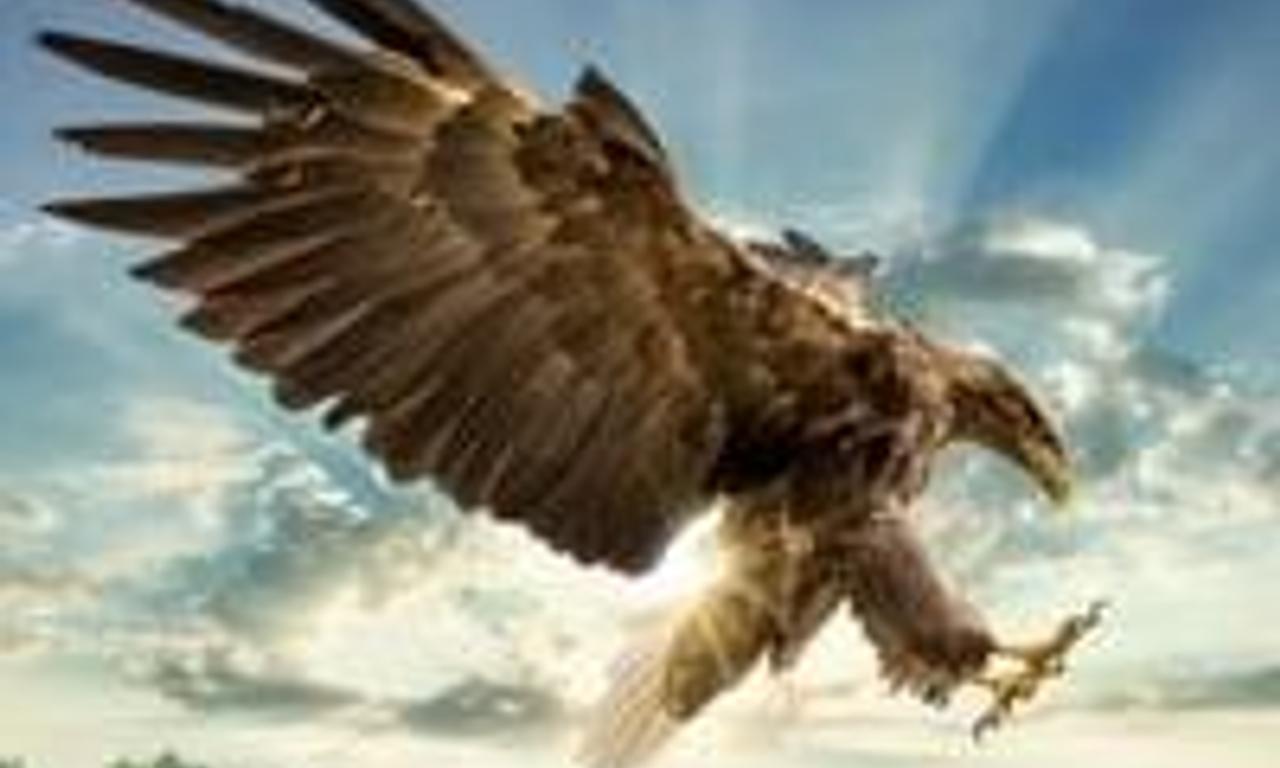 header image for Holland: The Living Delta