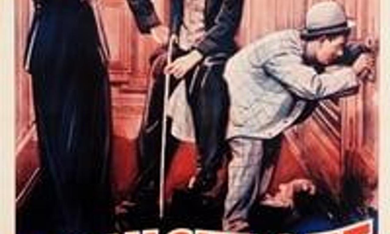 header image for A Night Out