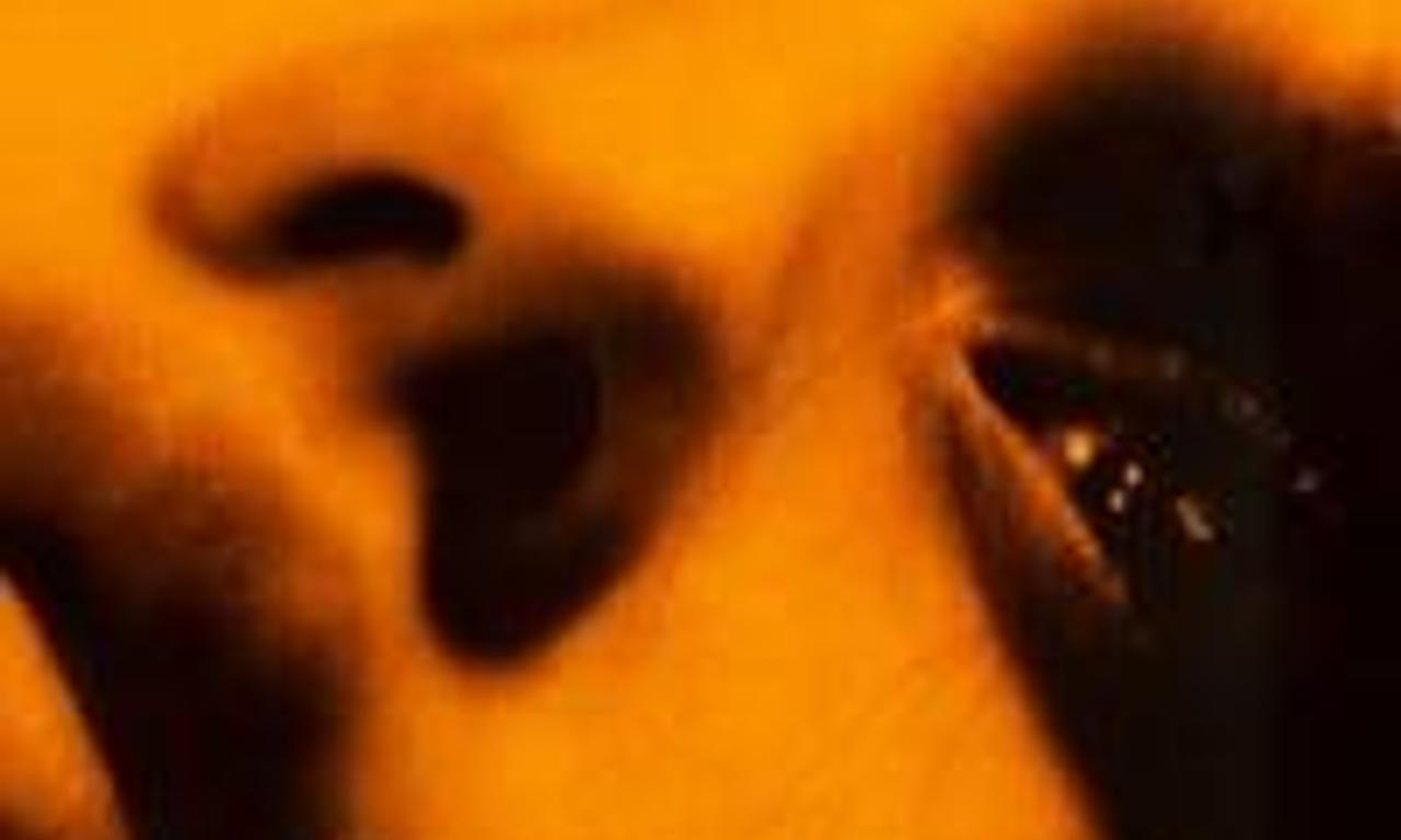 header image for Paranoid