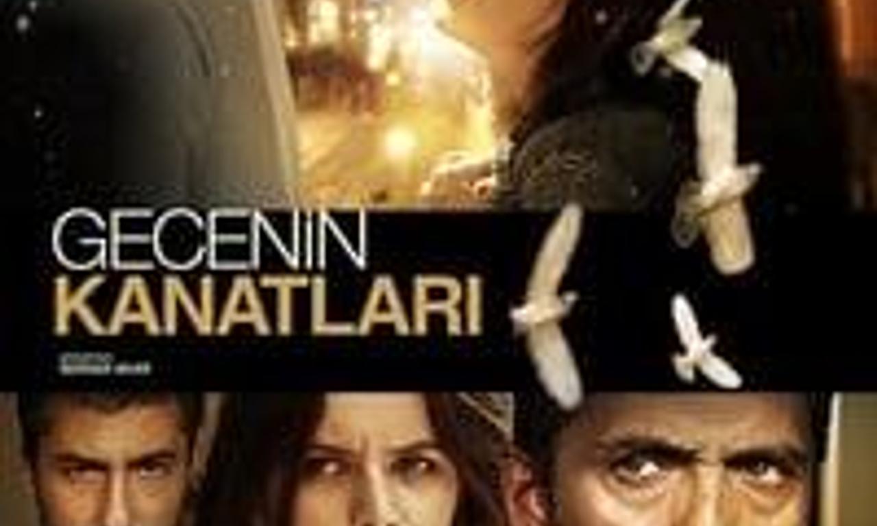 header image for Wings Of The Night