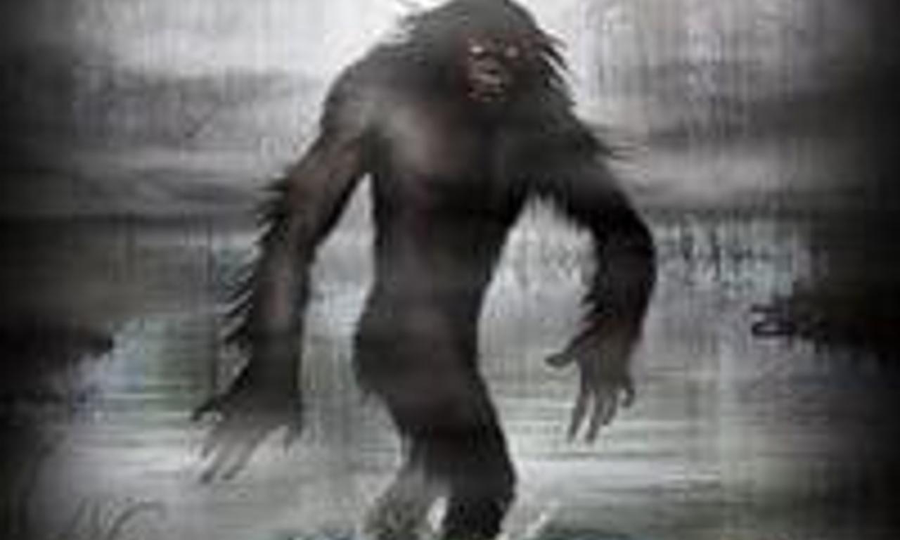 header image for Boggy Creek Monster