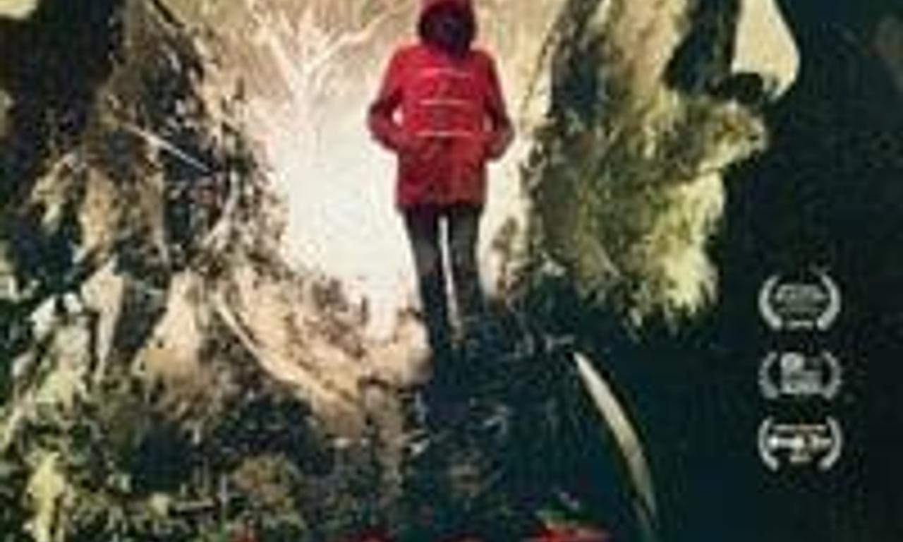 header image for Lost Gully Road