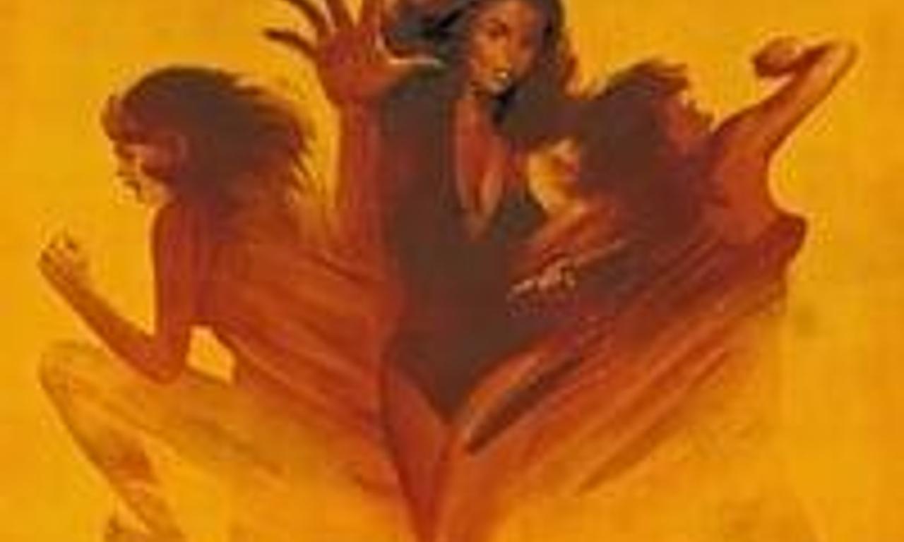 header image for Lady Street Fighter