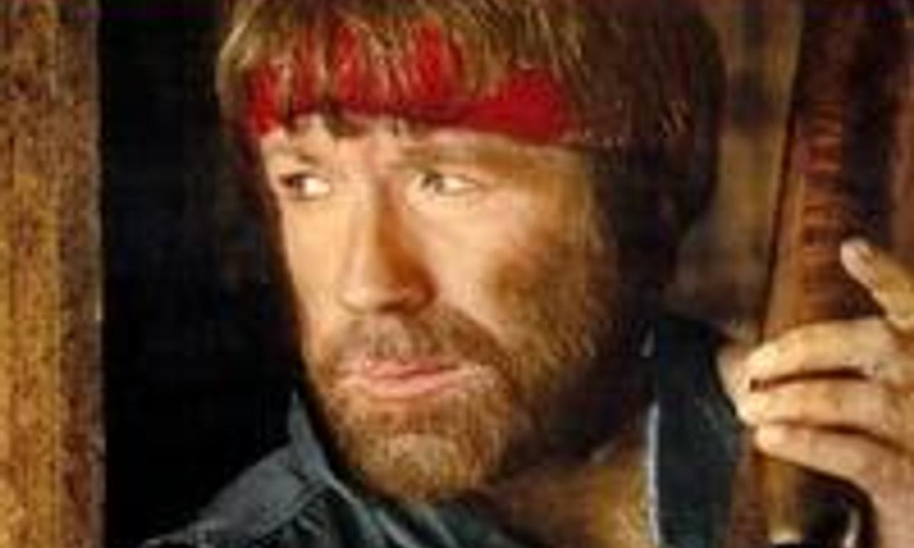 header image for Lone Wolf McQuade