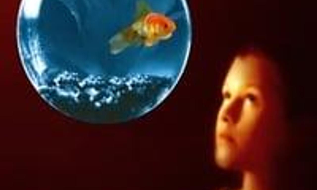 header image for Sophie's World