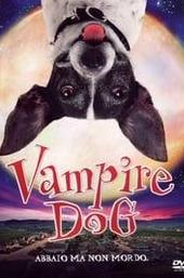 Vampire Dog