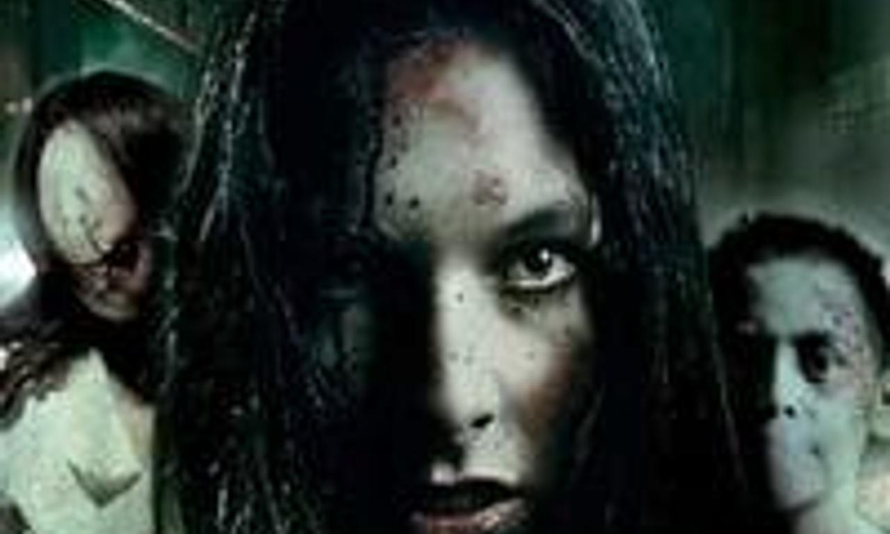 header image for Animus