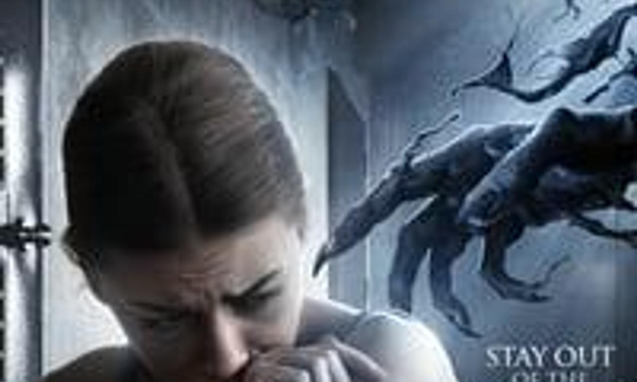 header image for Hide in the Light