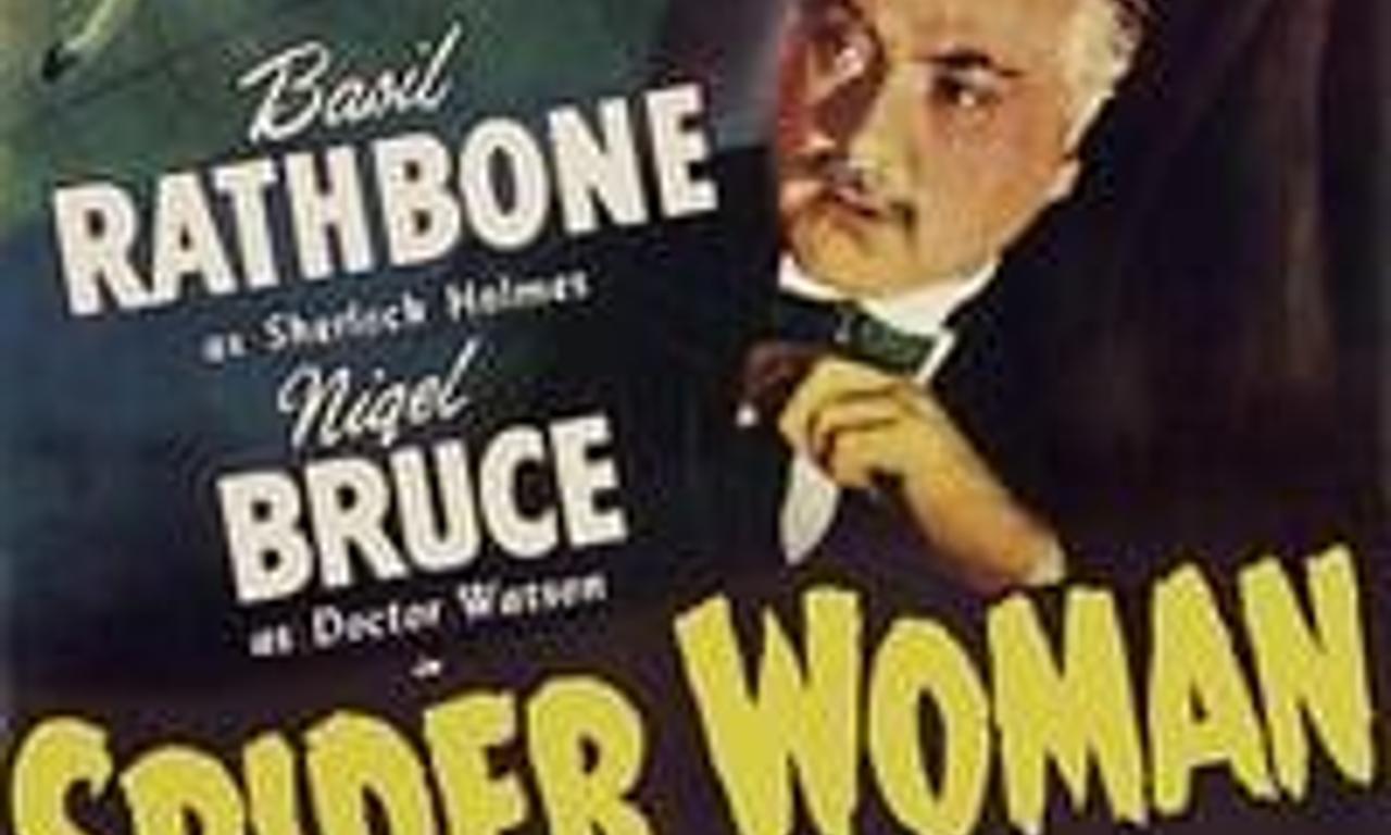 header image for The Spider Woman