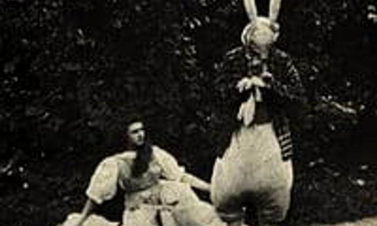 header image for Alice in Wonderland