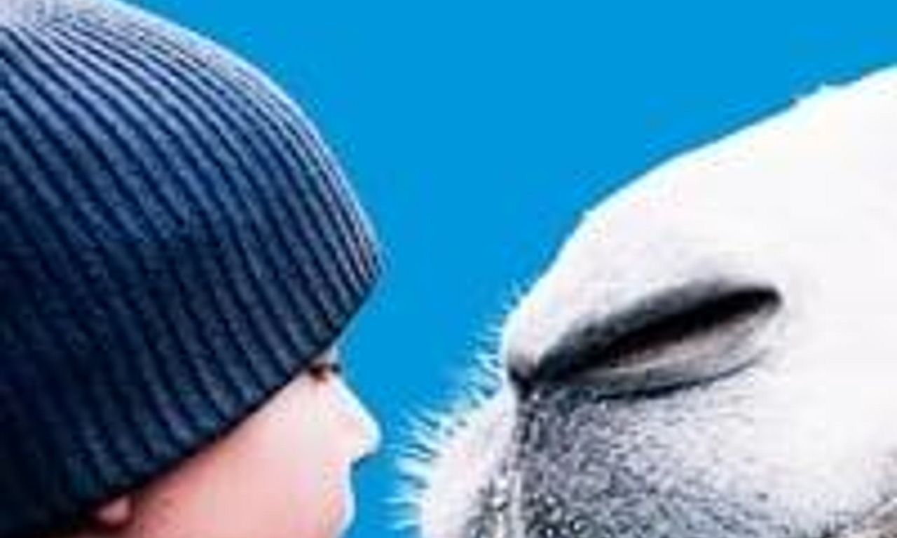 header image for The Arctic Camels