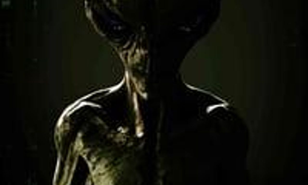 header image for Gray Matter