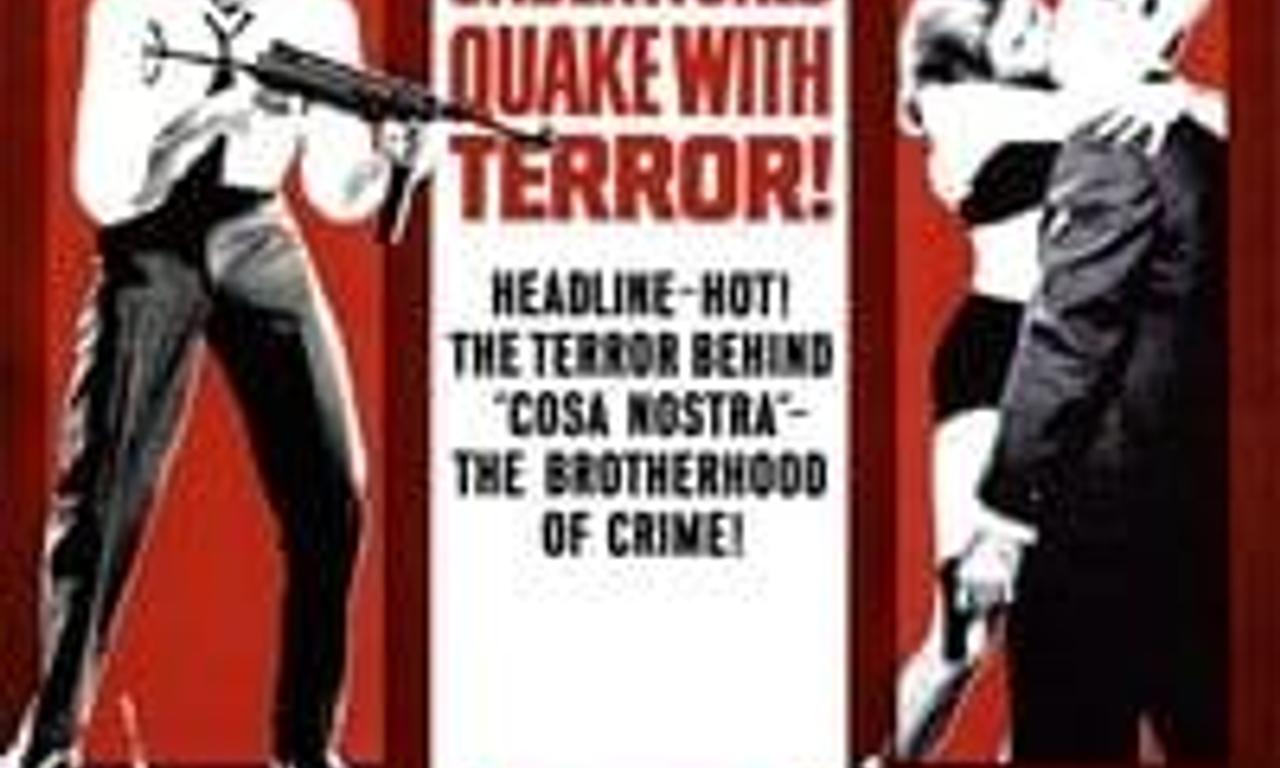 header image for Johnny Cool