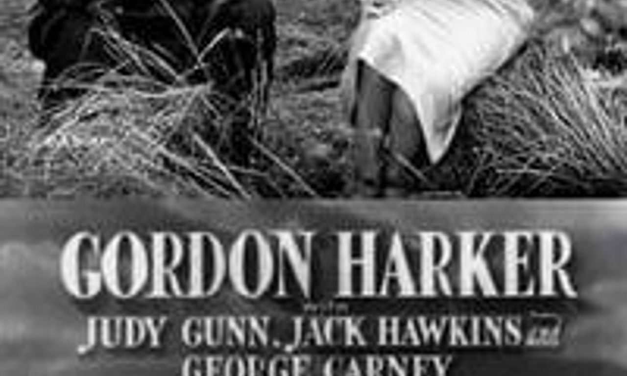 header image for Beauty and the Barge