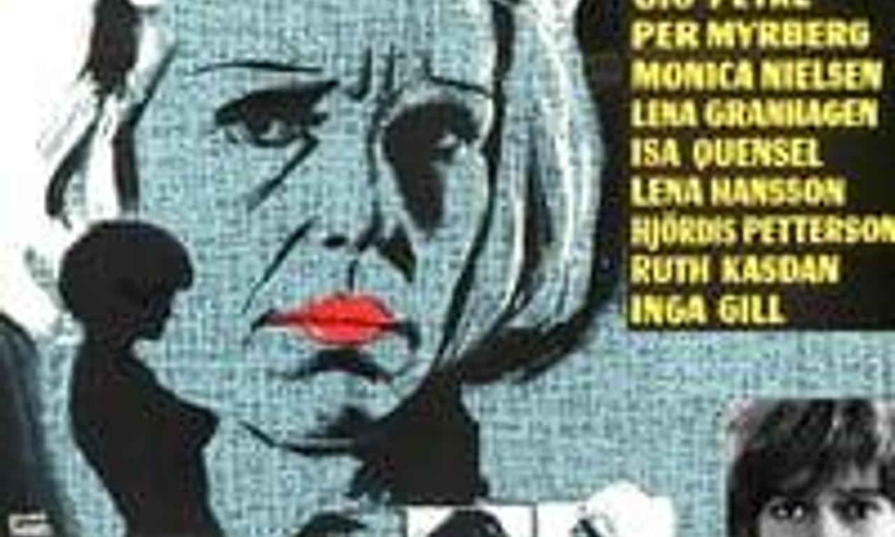 header image for The Cats