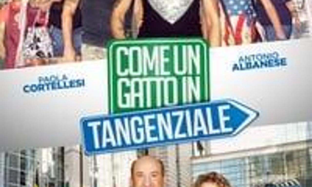 header image for Like a Cat on a Highway