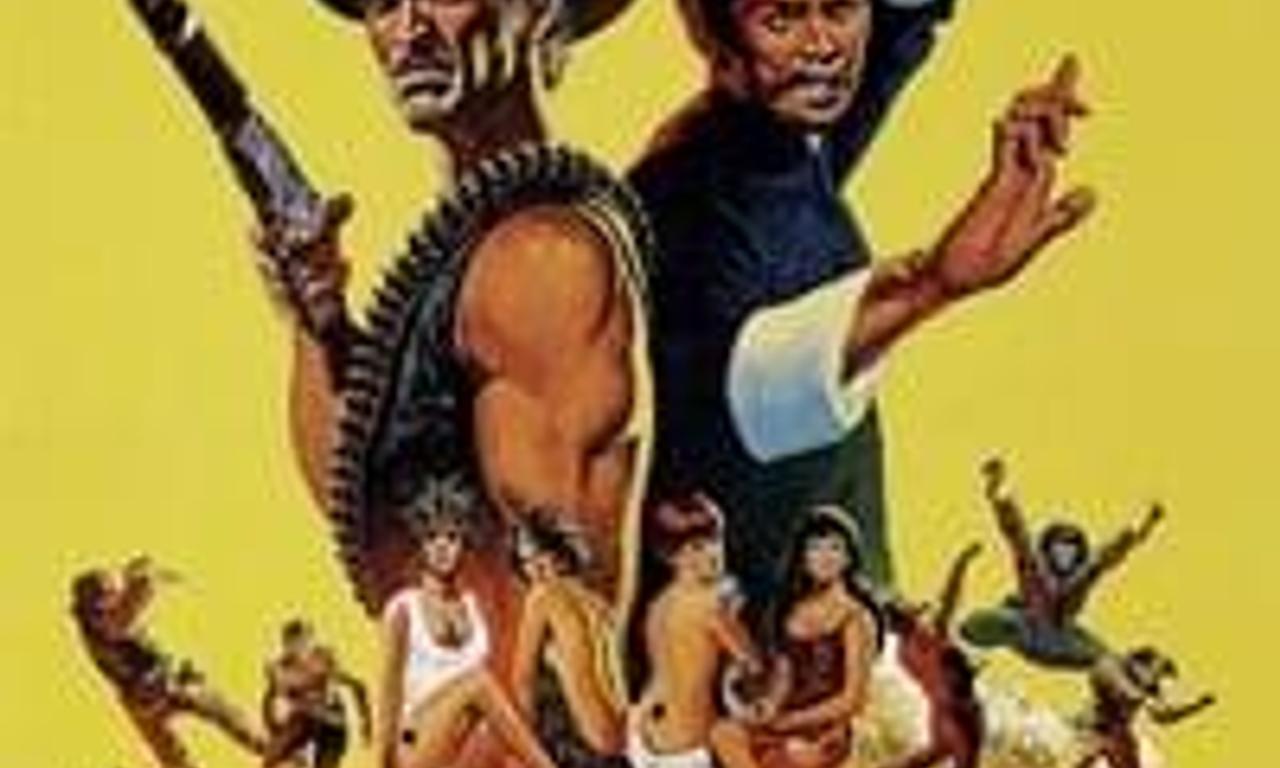 header image for The Stranger and the Gunfighter