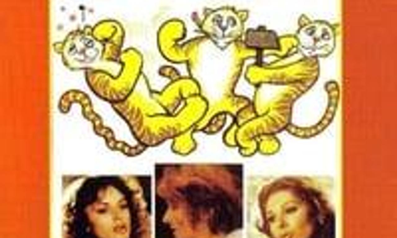 header image for Three Tigers Against Three Tigers