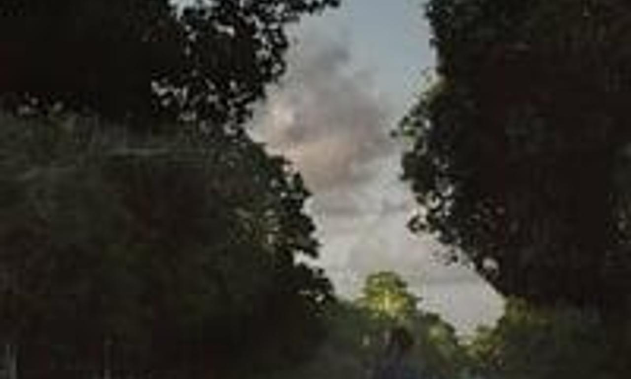 header image for Pantanal