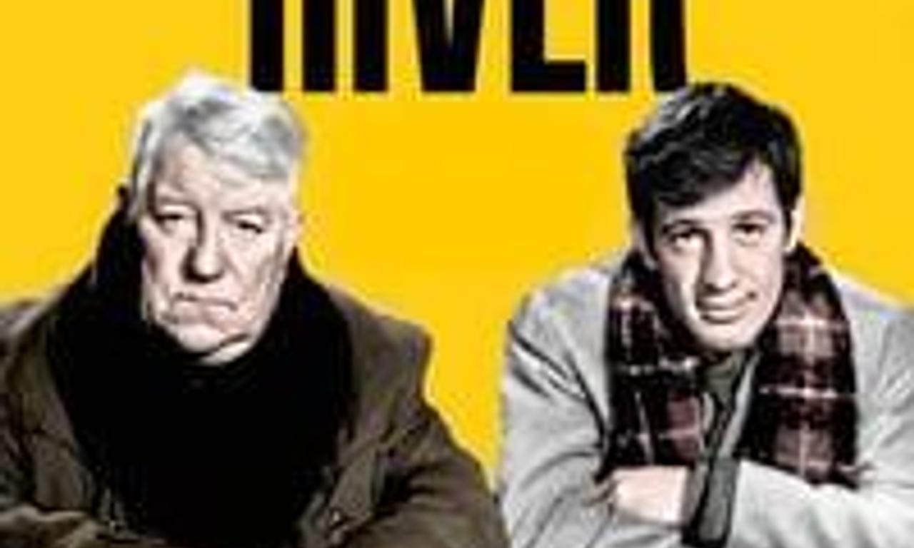 header image for A Monkey in Winter