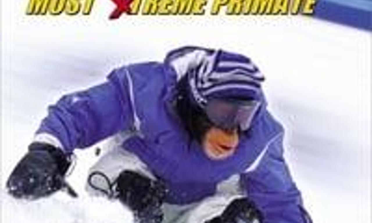 header image for MXP: Most Xtreme Primate