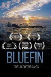 Bluefin